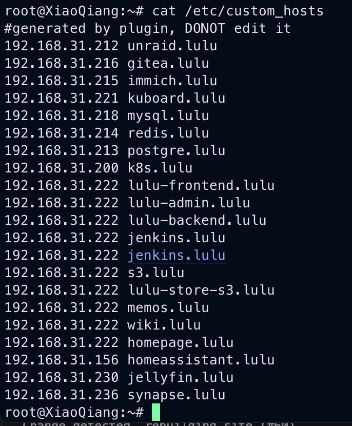 内网域名解析 内网域名解析