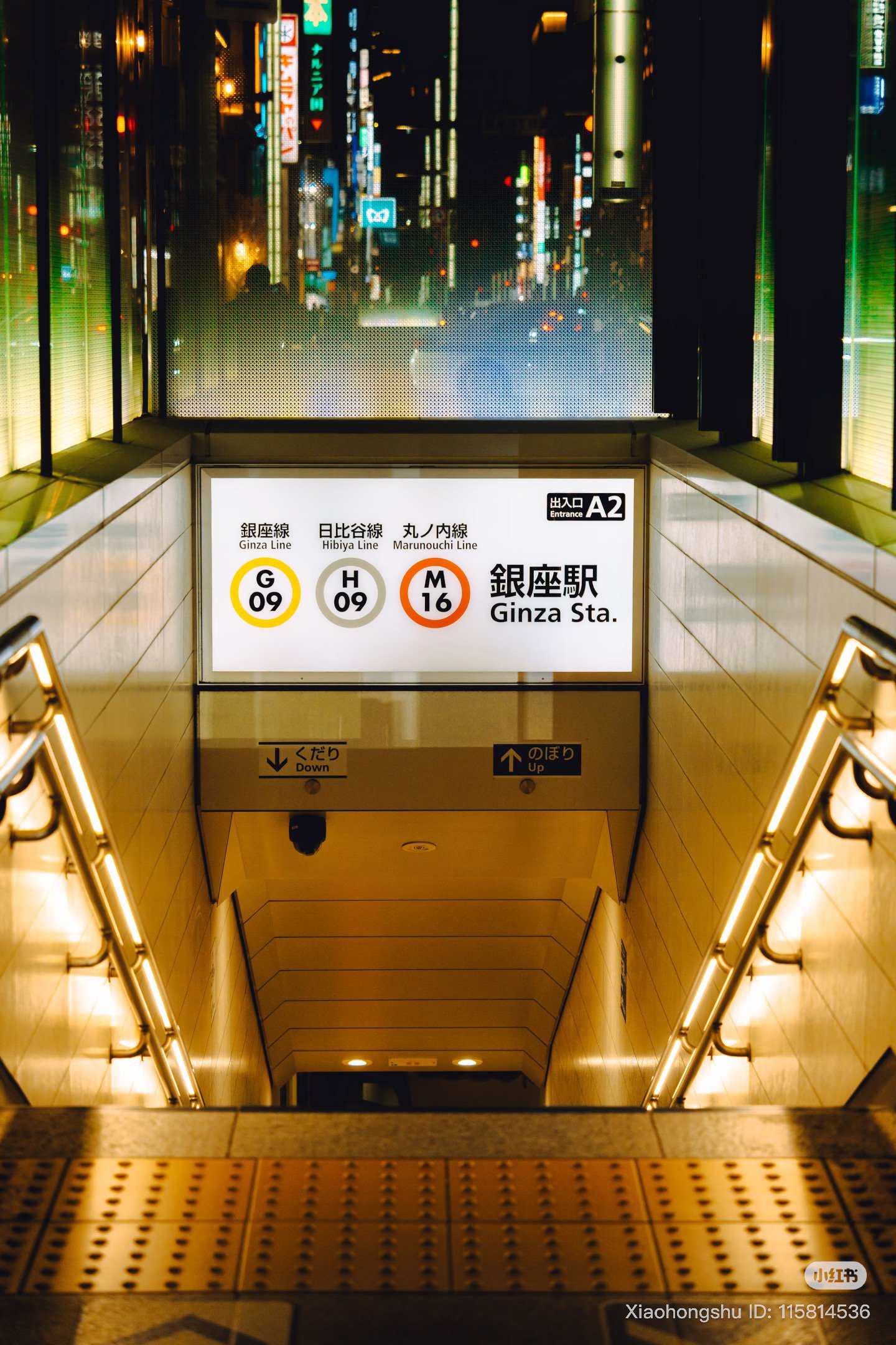 Featured image of post 画廊功能测试